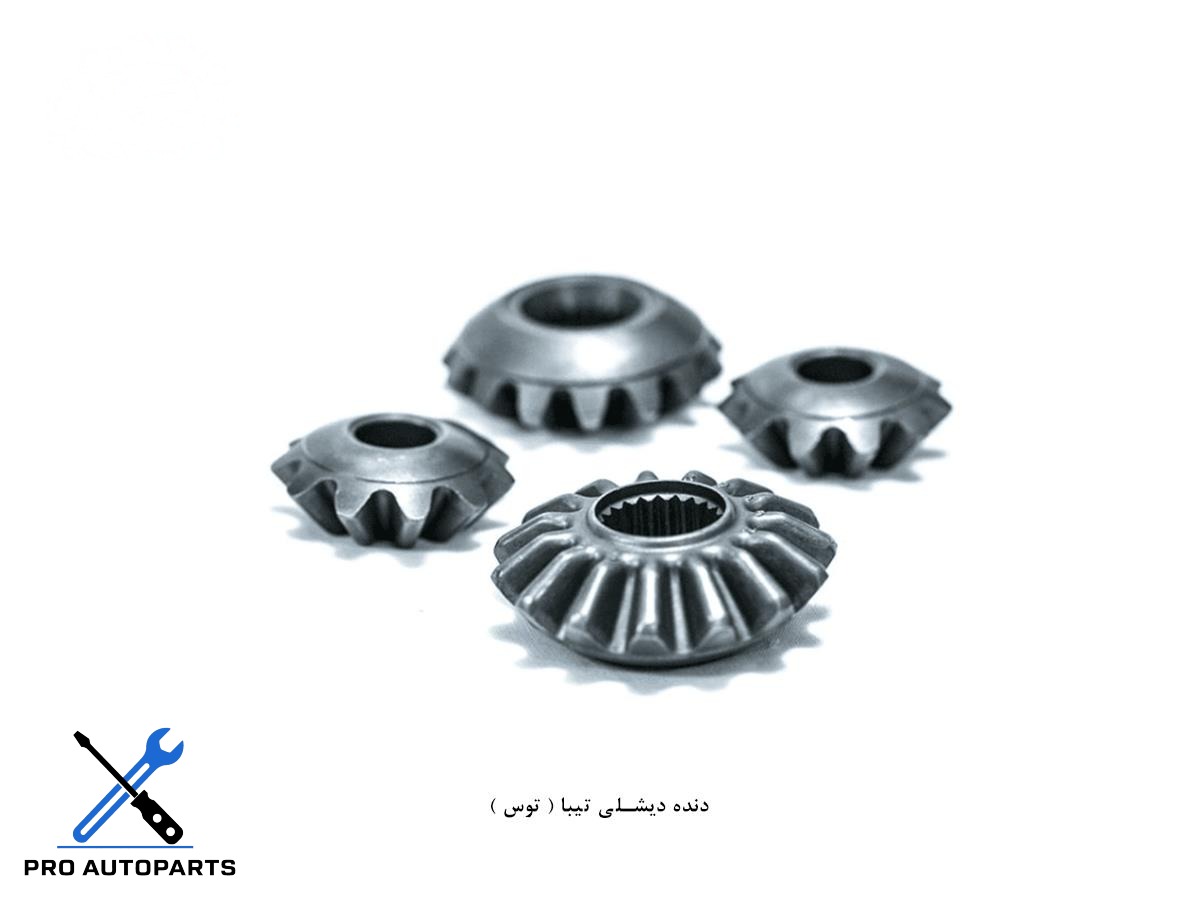 دنده دیشلی تیبا ( توس )