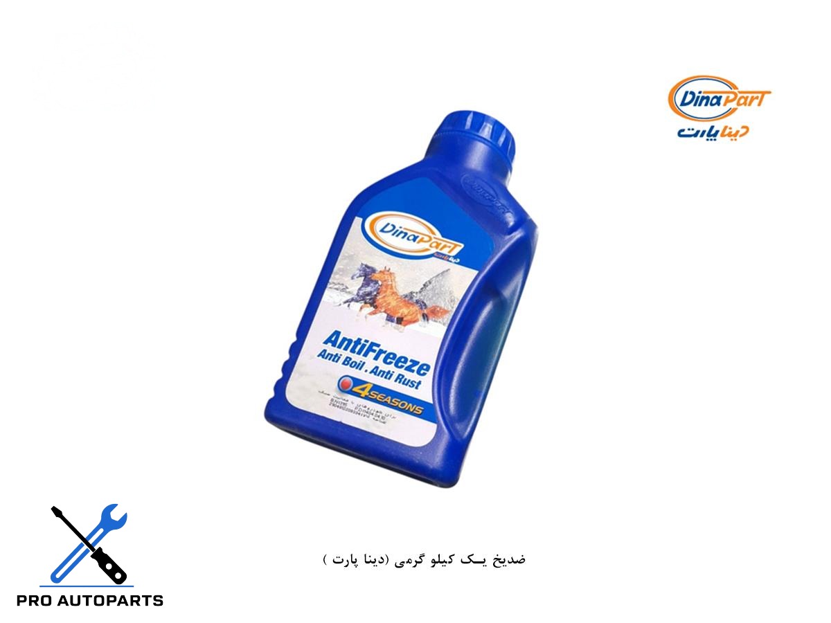ضدیخ یک کیلو گرمی (دینا پارت )