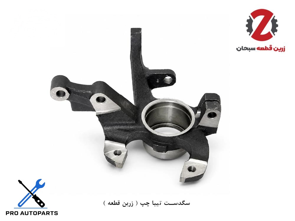 سگدست تیبا چپ ( زرین قطعه )